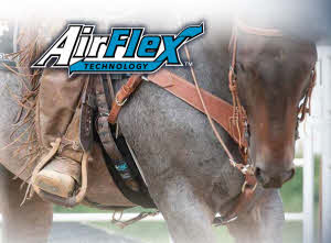 airflex_20230315115103